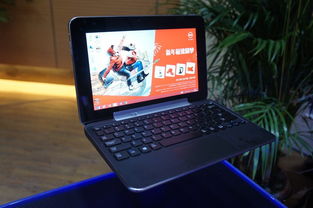 正版微软软件助力，各大厂商主流电脑展示与软件生态解析